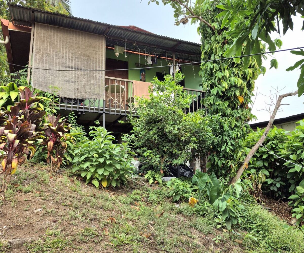 Homes for sale in Atenas Costa Rica