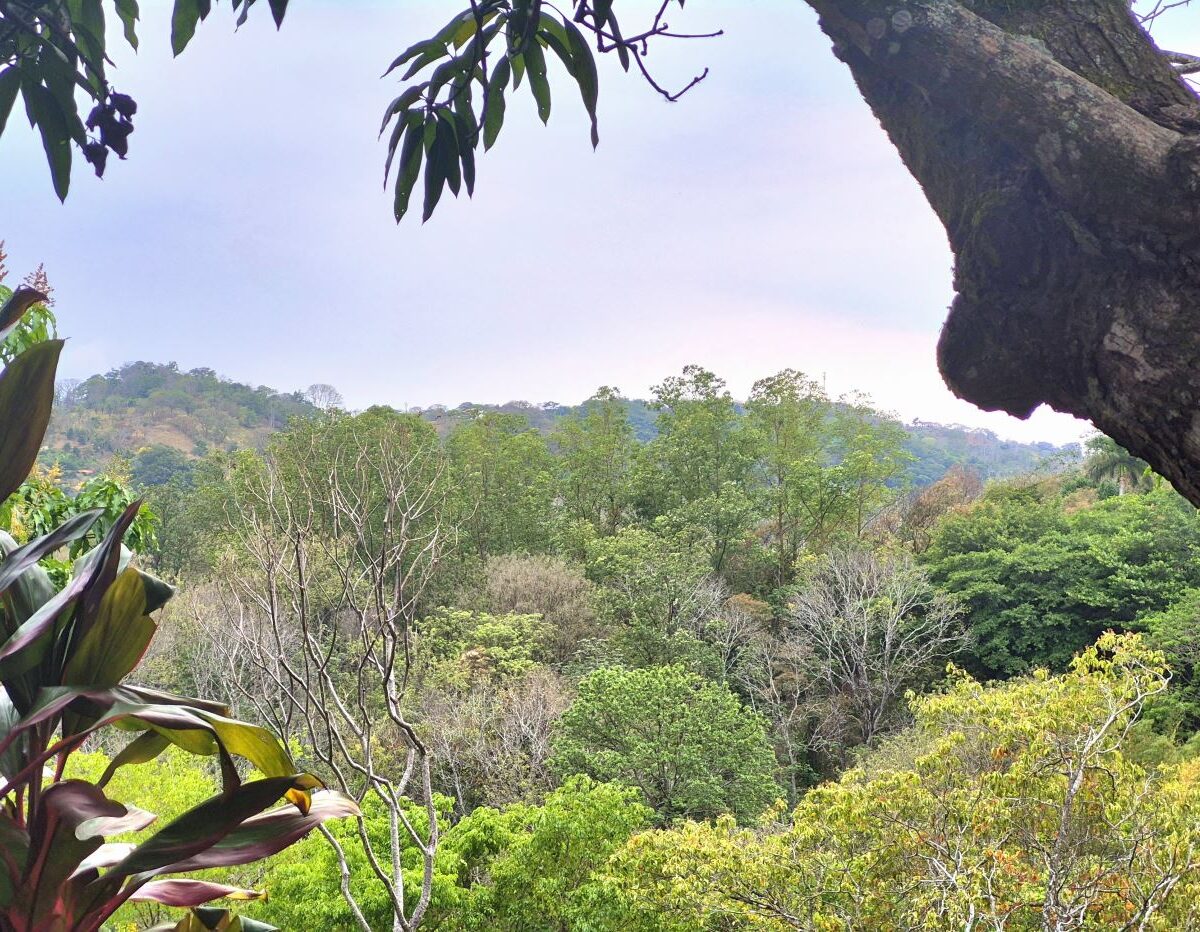 Homes for sale in Atenas Costa Rica