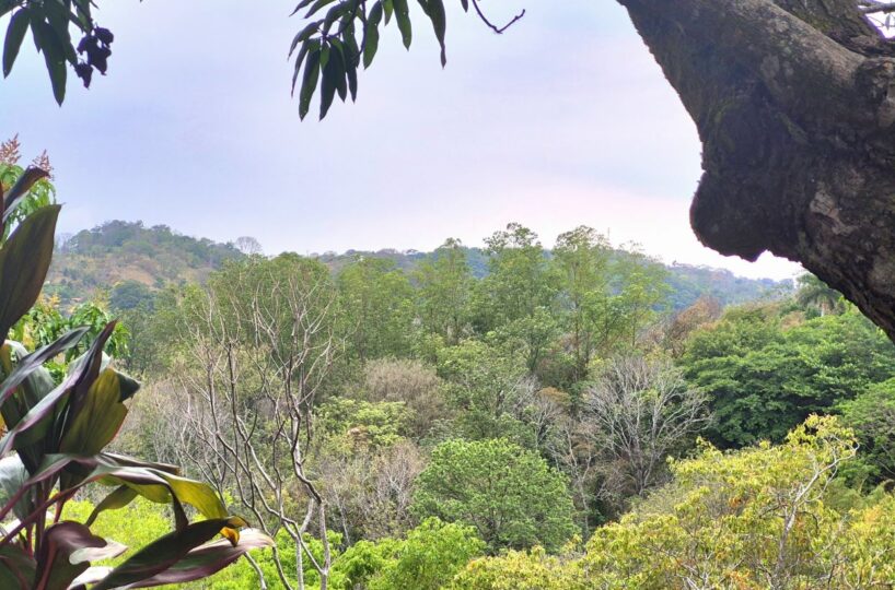 Homes for sale in Atenas Costa Rica