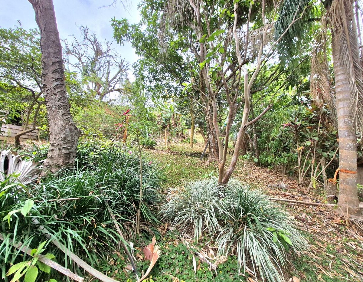 Homes for sale in Atenas Costa Rica