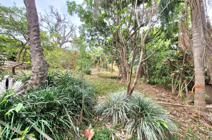 Homes for sale in Atenas Costa Rica