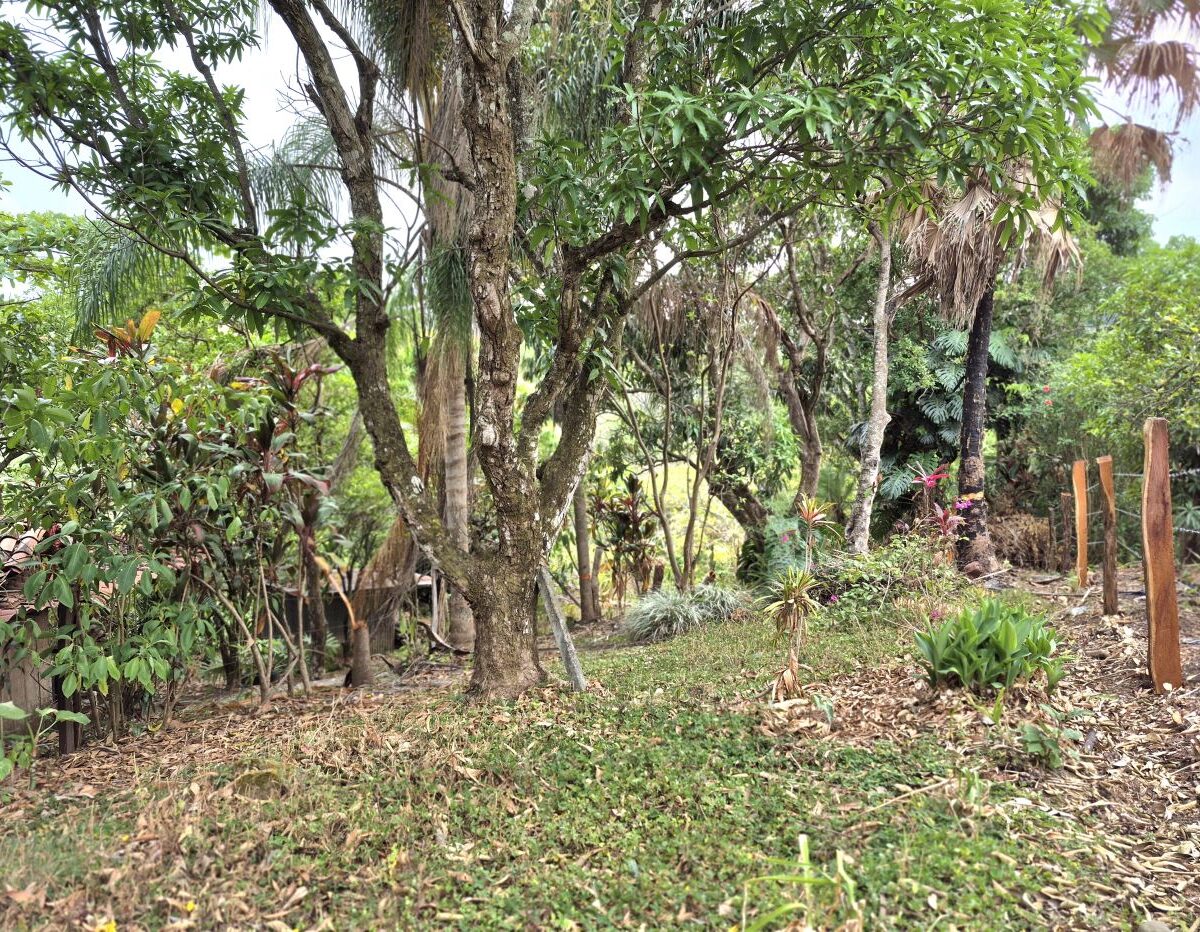 Homes for sale in Atenas Costa Rica