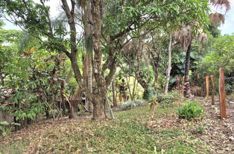 Homes for sale in Atenas Costa Rica