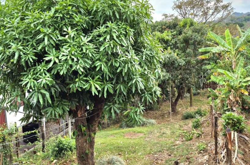 Homes for sale in Atenas Costa Rica