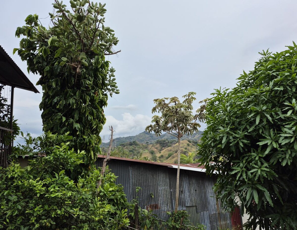 Homes for sale in Atenas Costa Rica