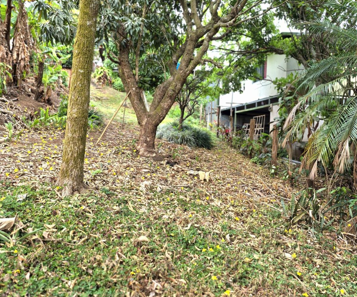 Homes for sale in Atenas Costa Rica