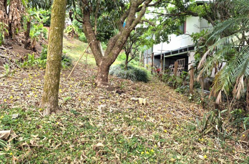 Homes for sale in Atenas Costa Rica