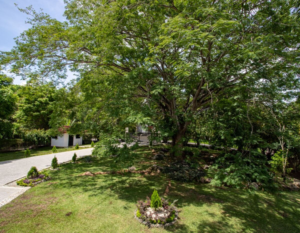 Homes for sale in Atenas Costa Rica