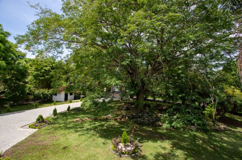 Homes for sale in Atenas Costa Rica