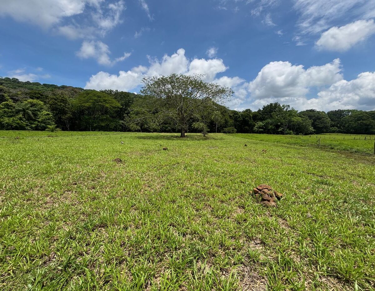 Building Lots for sale in Mora Costa Rica