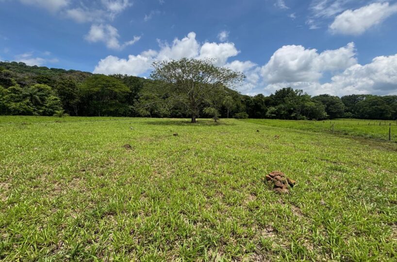 Building Lots for sale in Mora Costa Rica