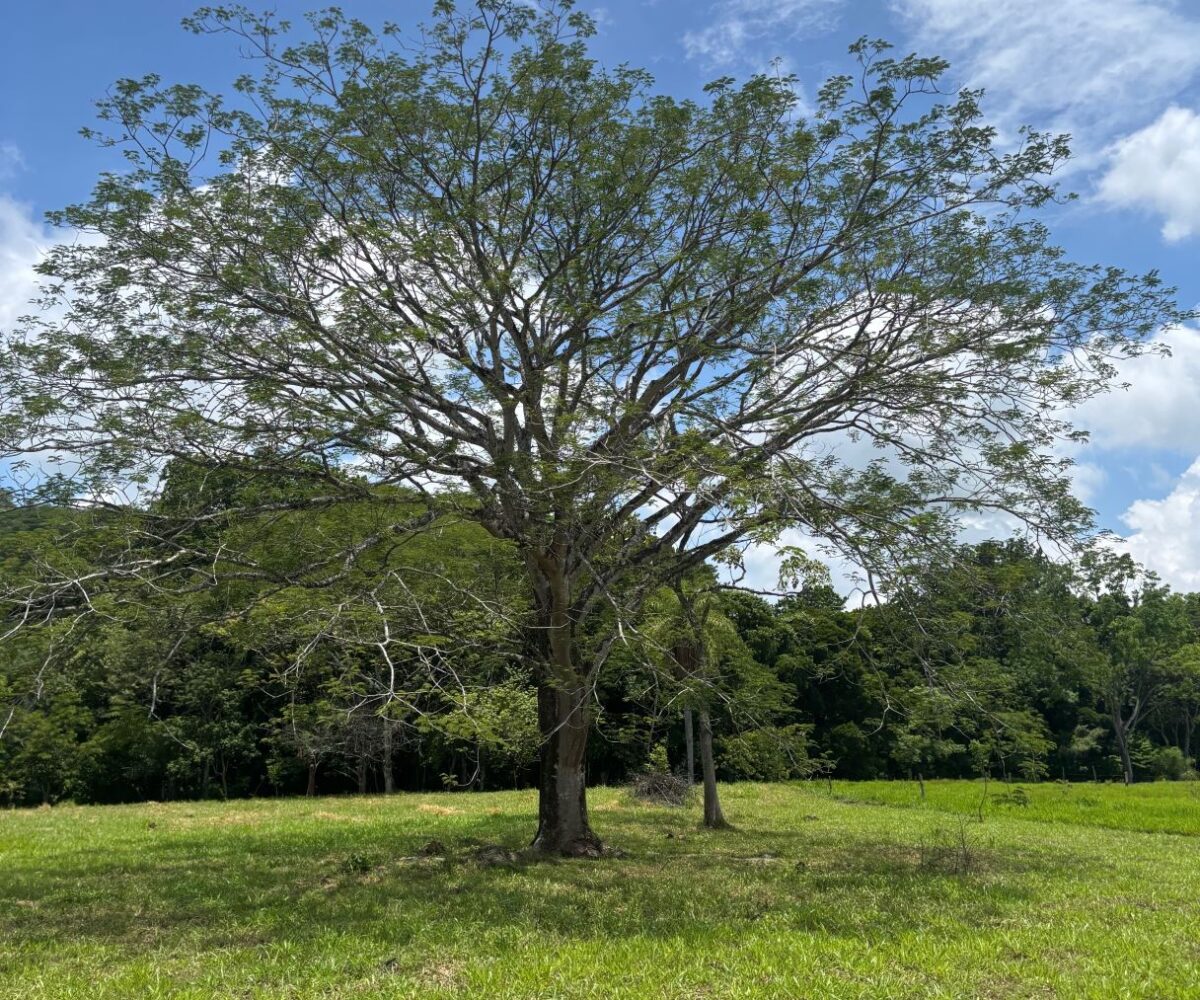 Building Lots for sale in Mora Costa Rica