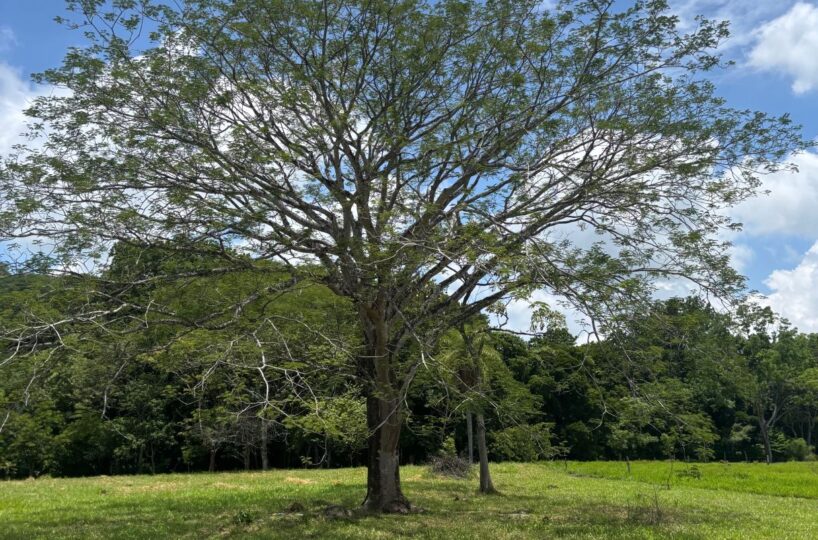Building Lots for sale in Mora Costa Rica