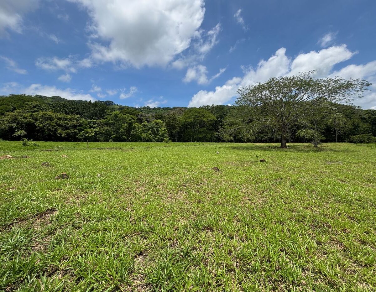 Building Lots for sale in Mora Costa Rica