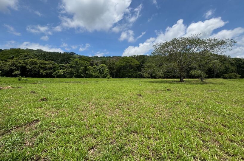 Building Lots for sale in Mora Costa Rica
