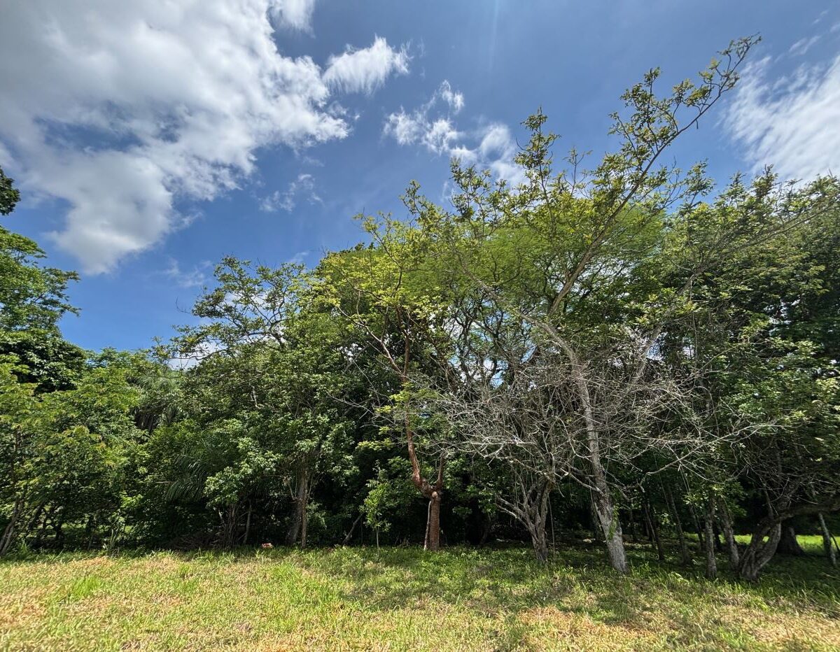 Building Lots for sale in Mora Costa Rica