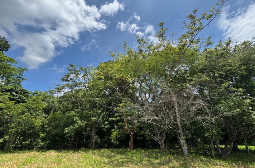 Building Lots for sale in Mora Costa Rica
