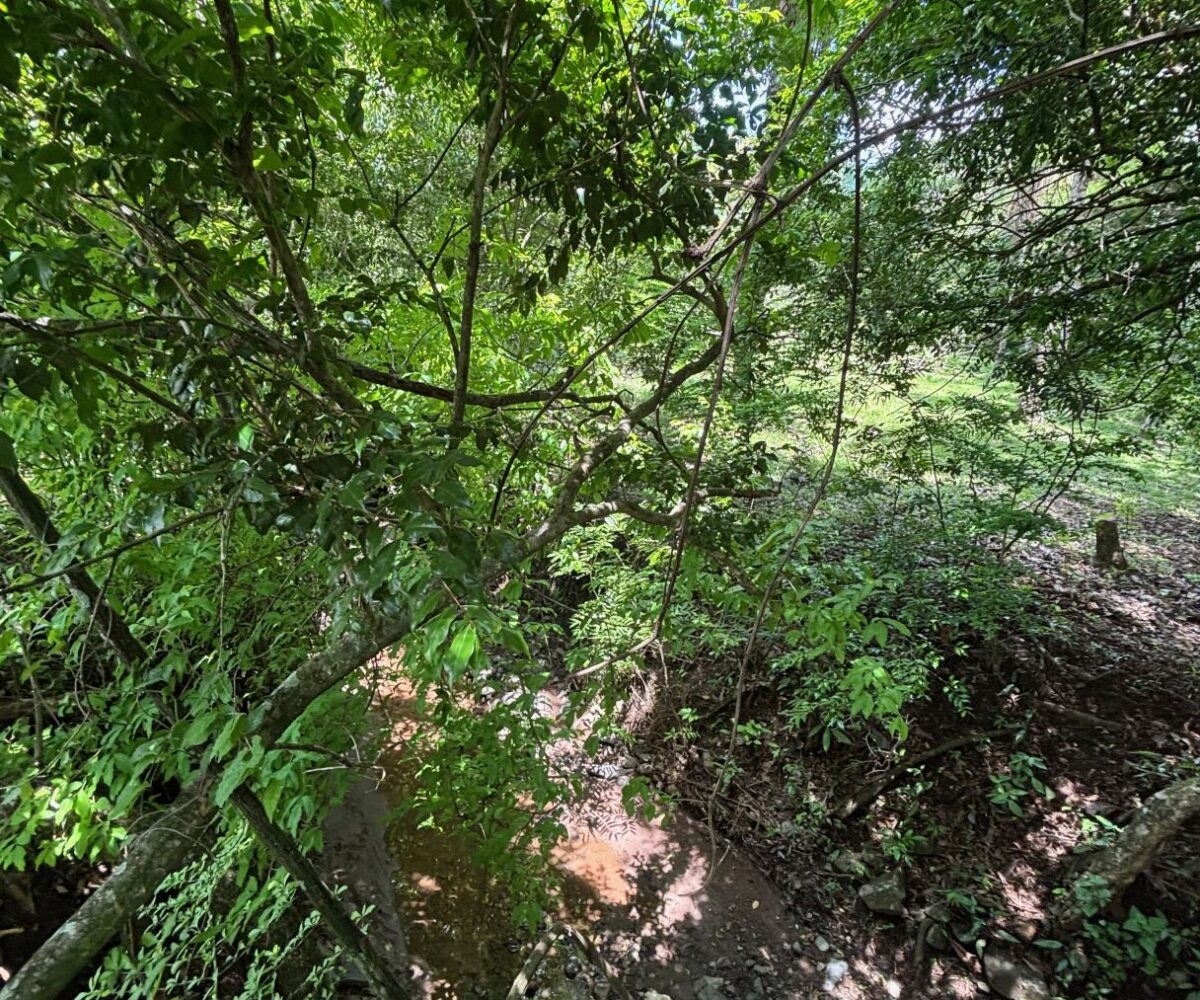 Building Lots for sale in Mora Costa Rica