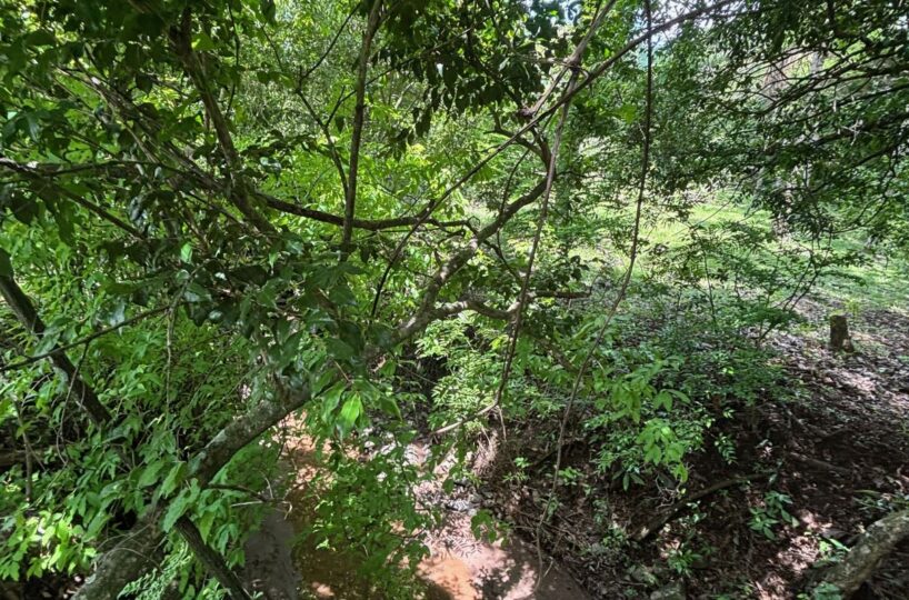 Building Lots for sale in Mora Costa Rica