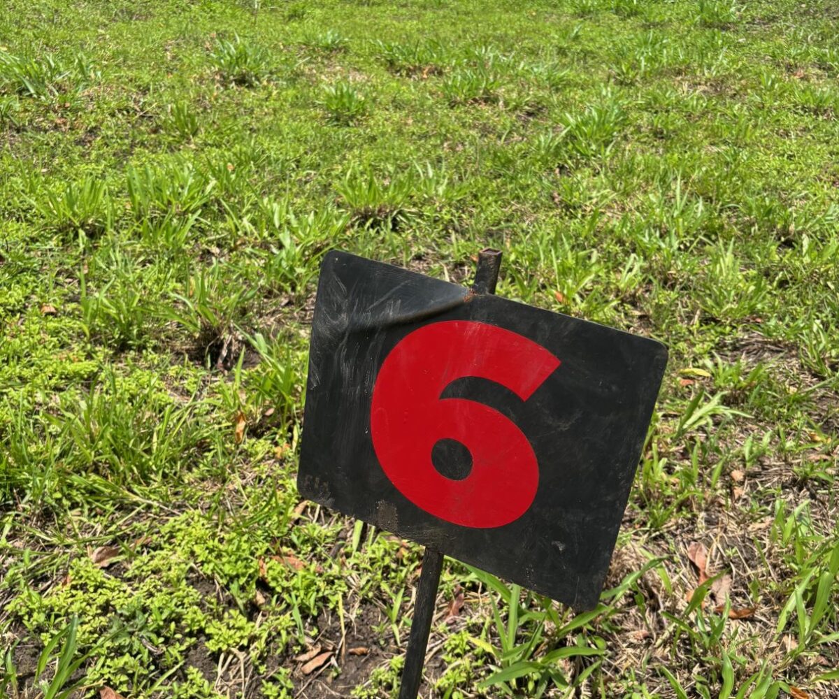 Building Lots for sale in Mora Costa Rica