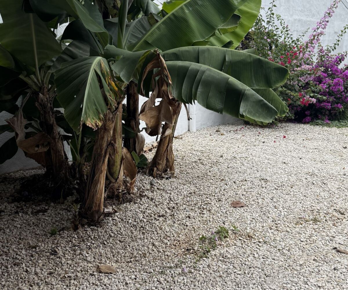 Homes for sale in Atenas Costa Rica