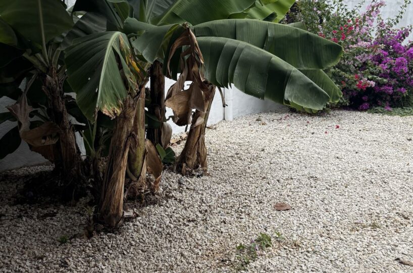 Homes for sale in Atenas Costa Rica