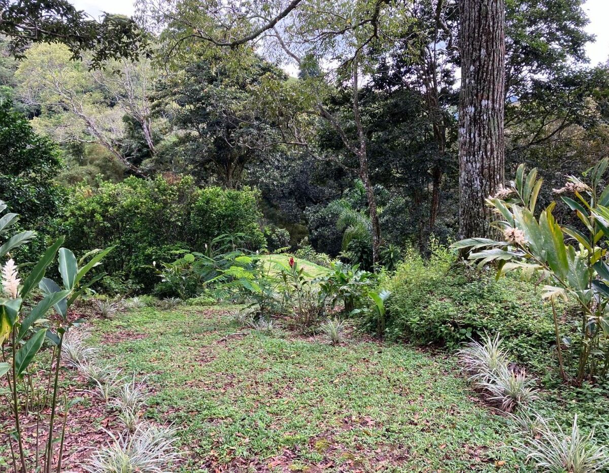 Building Lots for sale in Atenas Costa Rica