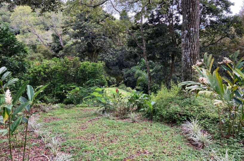 Building Lots for sale in Atenas Costa Rica