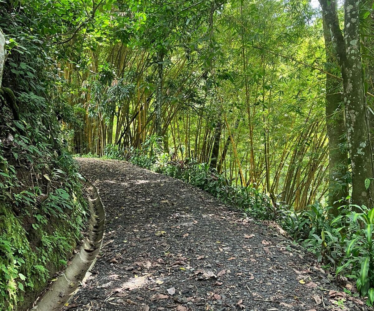 Building Lots for sale in Atenas Costa Rica