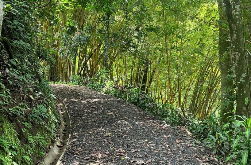 Building Lots for sale in Atenas Costa Rica