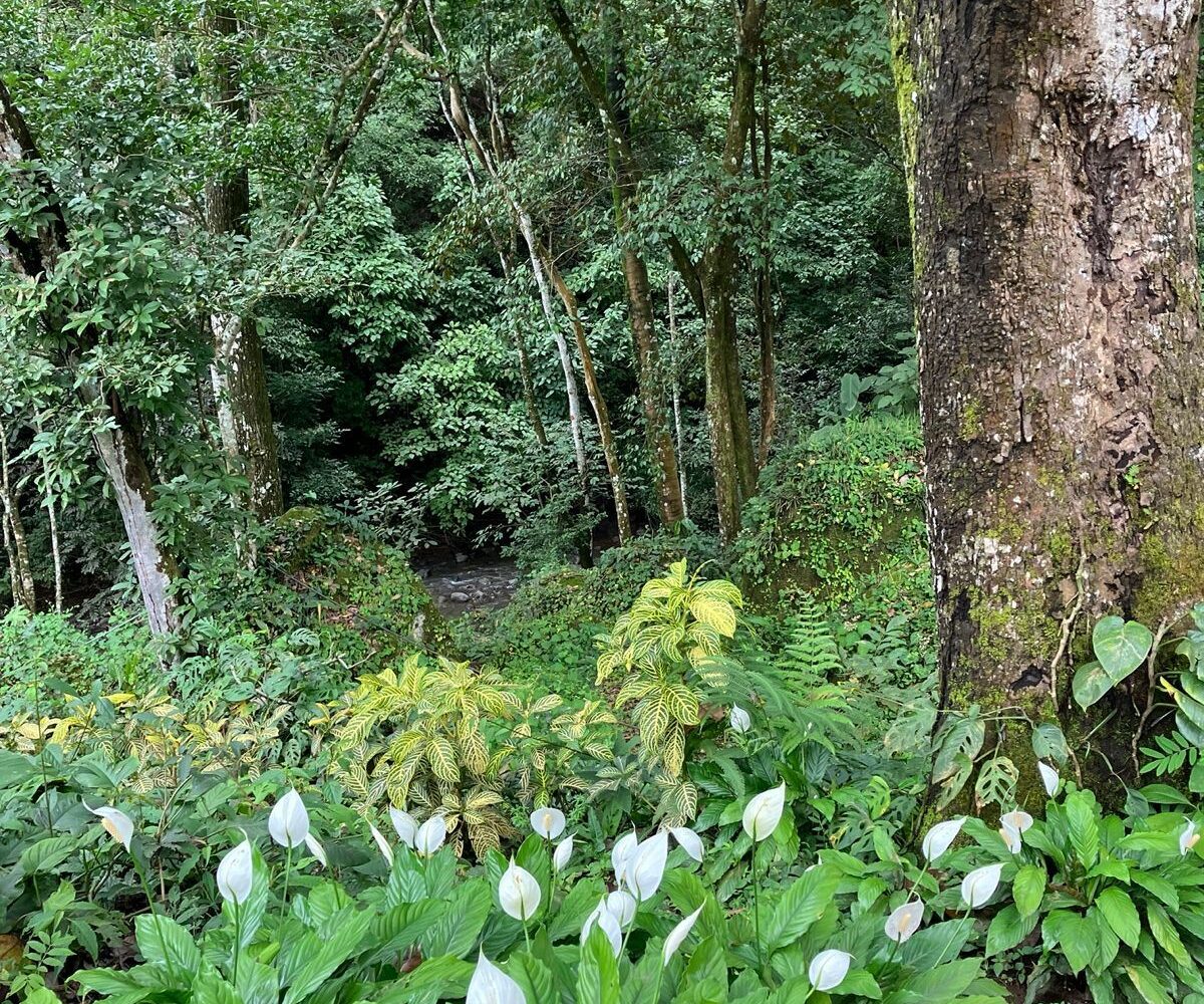 Building Lots for sale in Atenas Costa Rica