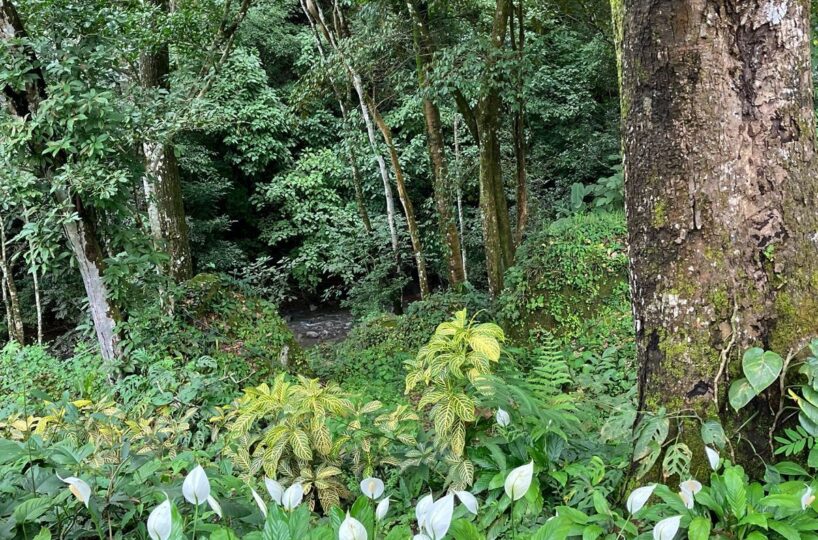 Building Lots for sale in Atenas Costa Rica