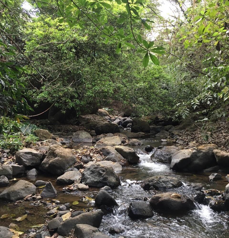 Building Lots for sale in Atenas Costa Rica