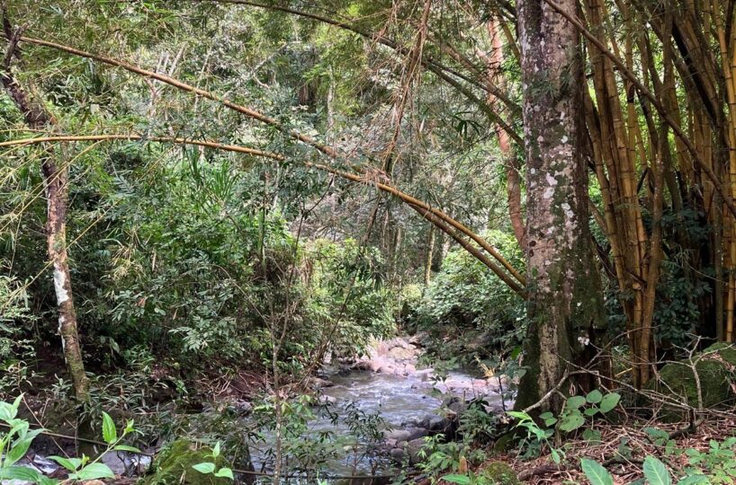 Building Lots for sale in Atenas Costa Rica