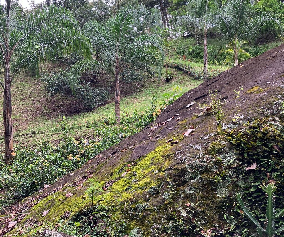 Building Lots for sale in Atenas Costa Rica