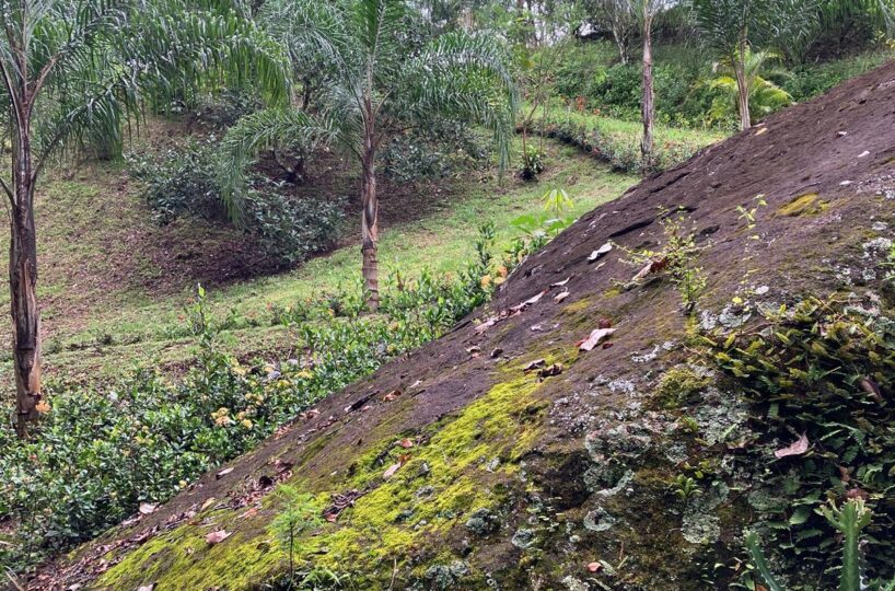 Building Lots for sale in Atenas Costa Rica