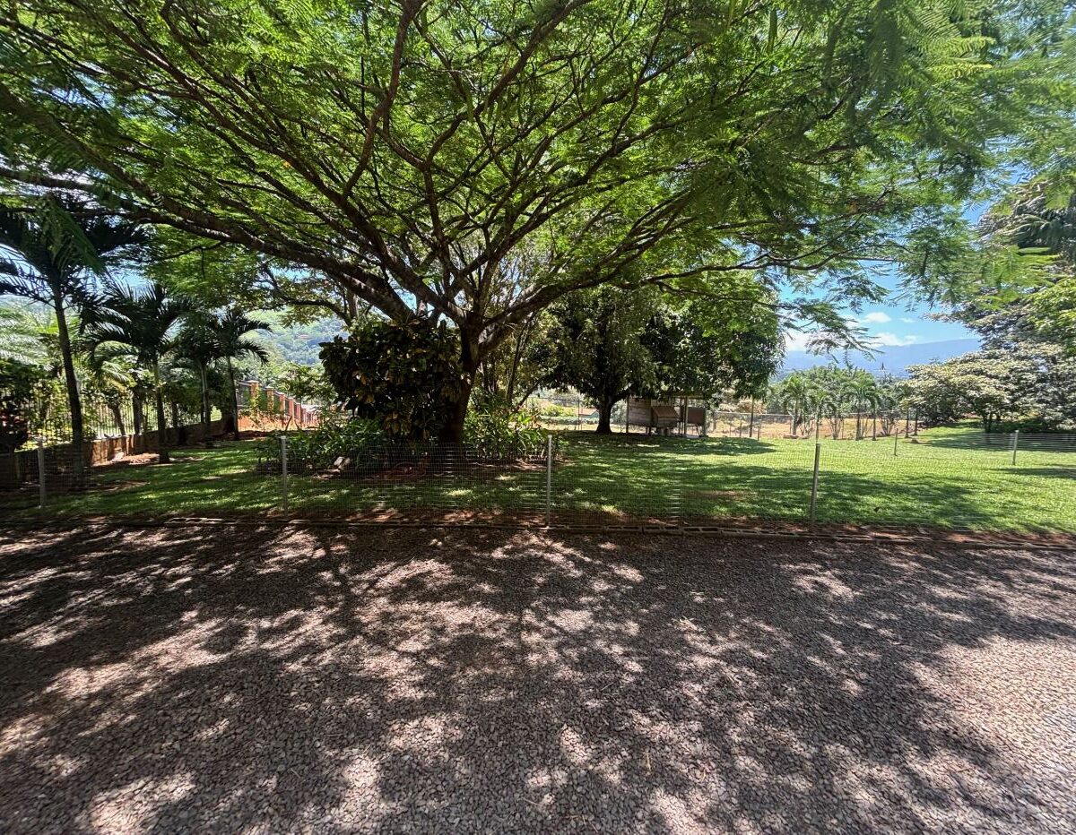 Homes for sale in Atenas Costa Rica