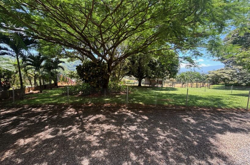 Homes for sale in Atenas Costa Rica