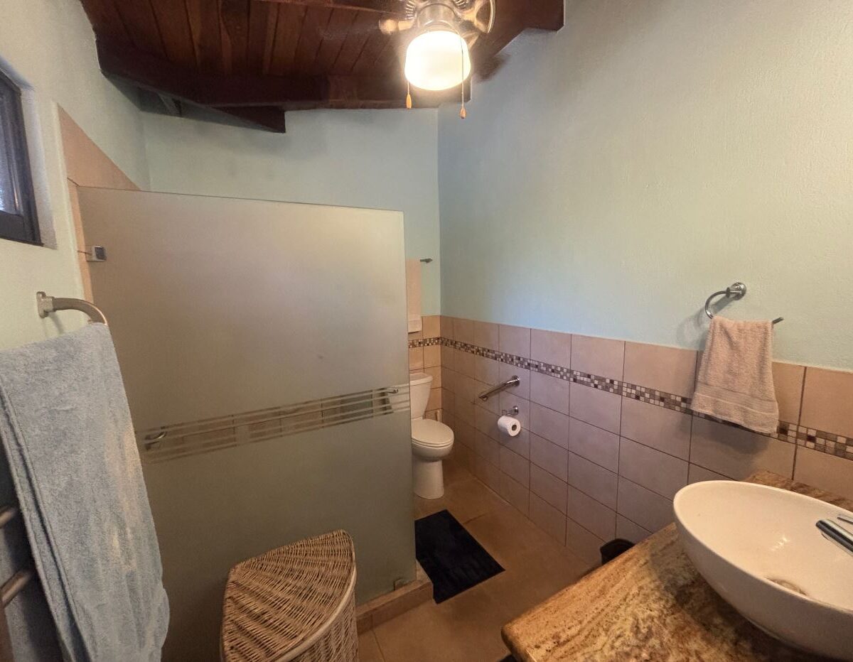 Homes for sale in Atenas Costa Rica