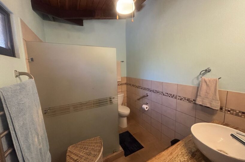 Homes for sale in Atenas Costa Rica