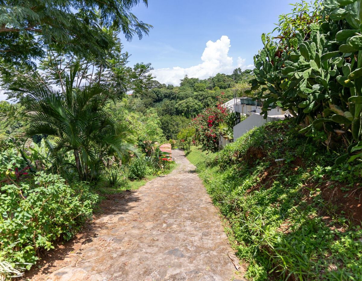 Homes for sale in Atenas Costa Rica