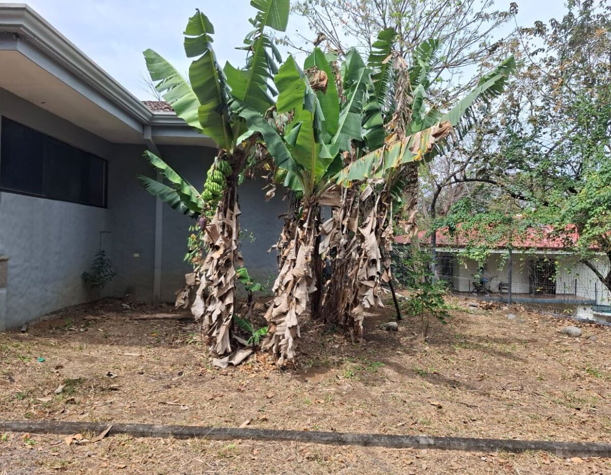 Commercial for sale in La Guacima Costa Rica