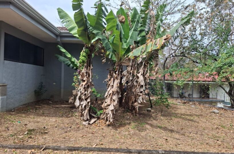 Commercial for sale in La Guacima Costa Rica