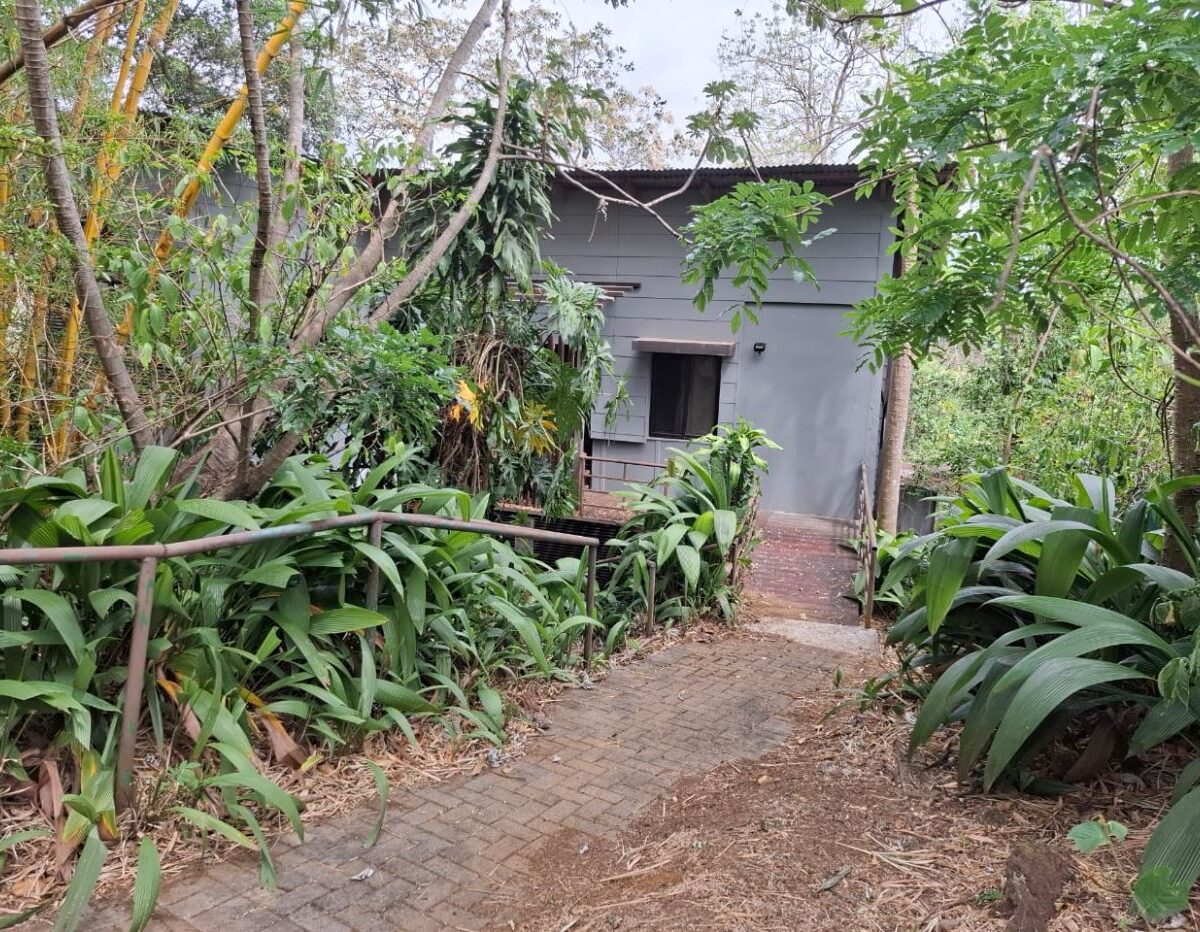 Commercial for sale in La Guacima Costa Rica