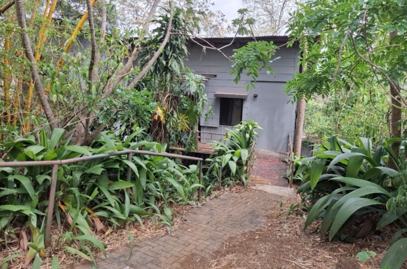 Commercial for sale in La Guacima Costa Rica