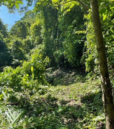 Building Lots for sale in Atenas Costa Rica