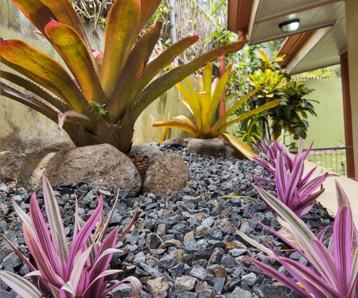 Homes for sale in Atenas Costa Rica