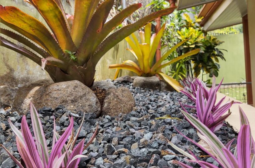 Homes for sale in Atenas Costa Rica