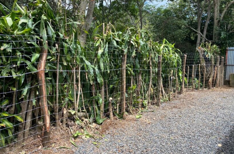 Homes for sale in Atenas Costa Rica