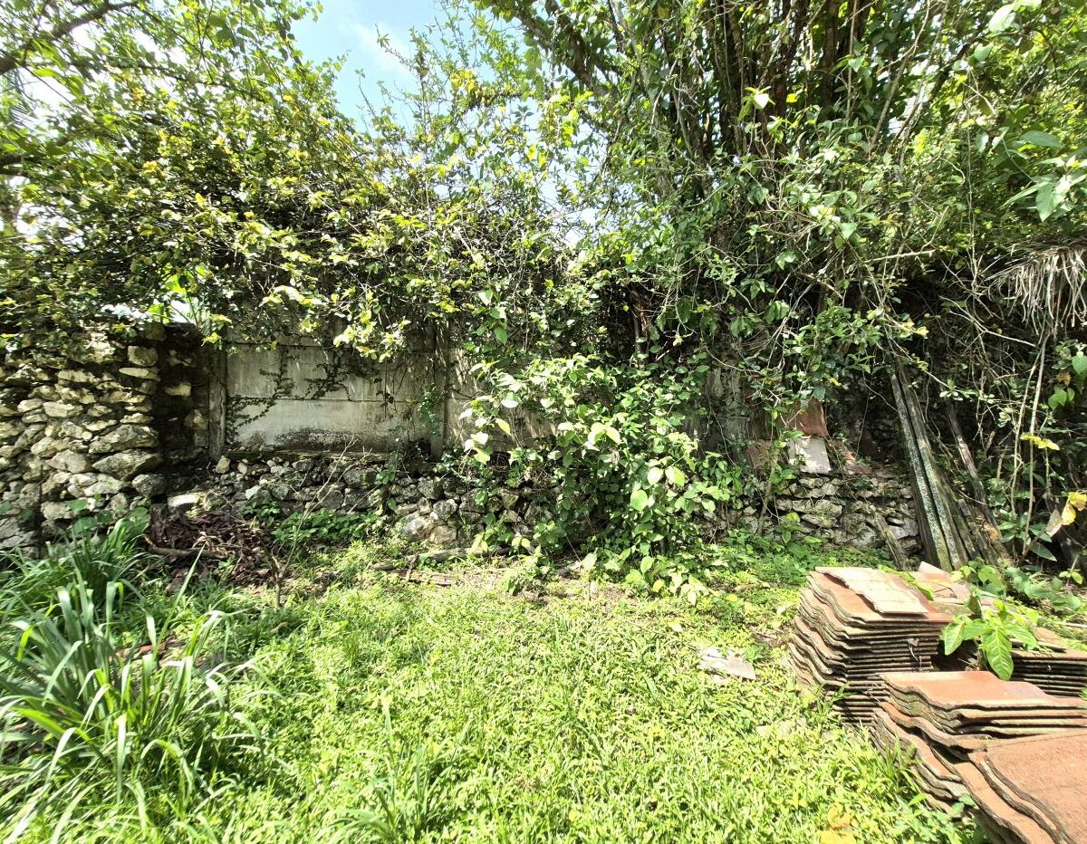 Homes for sale in Atenas Costa Rica